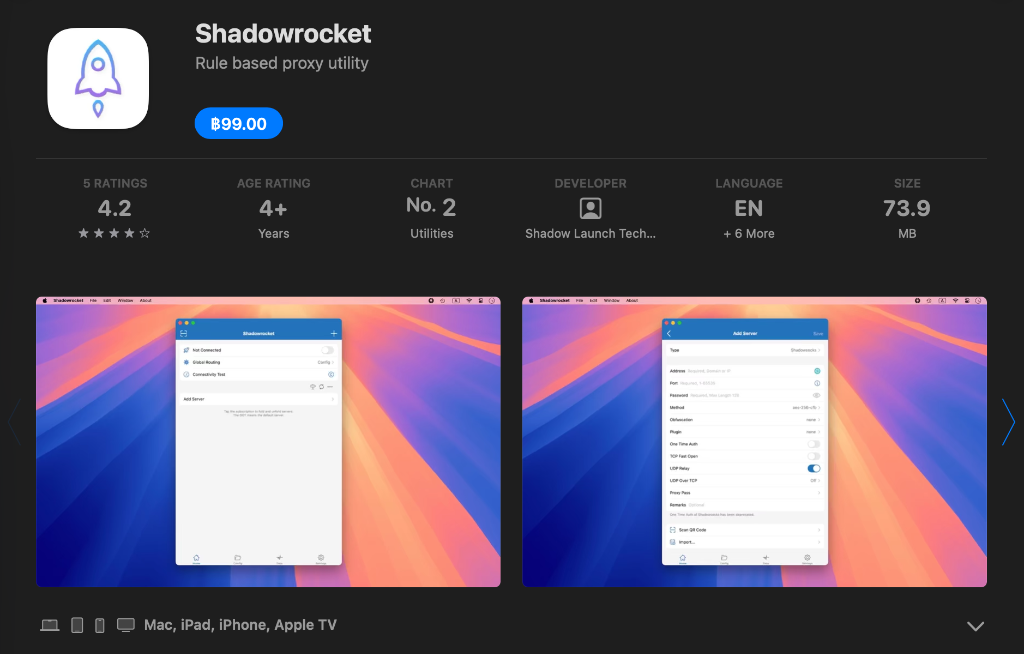 Shadowrocket App Store 界面